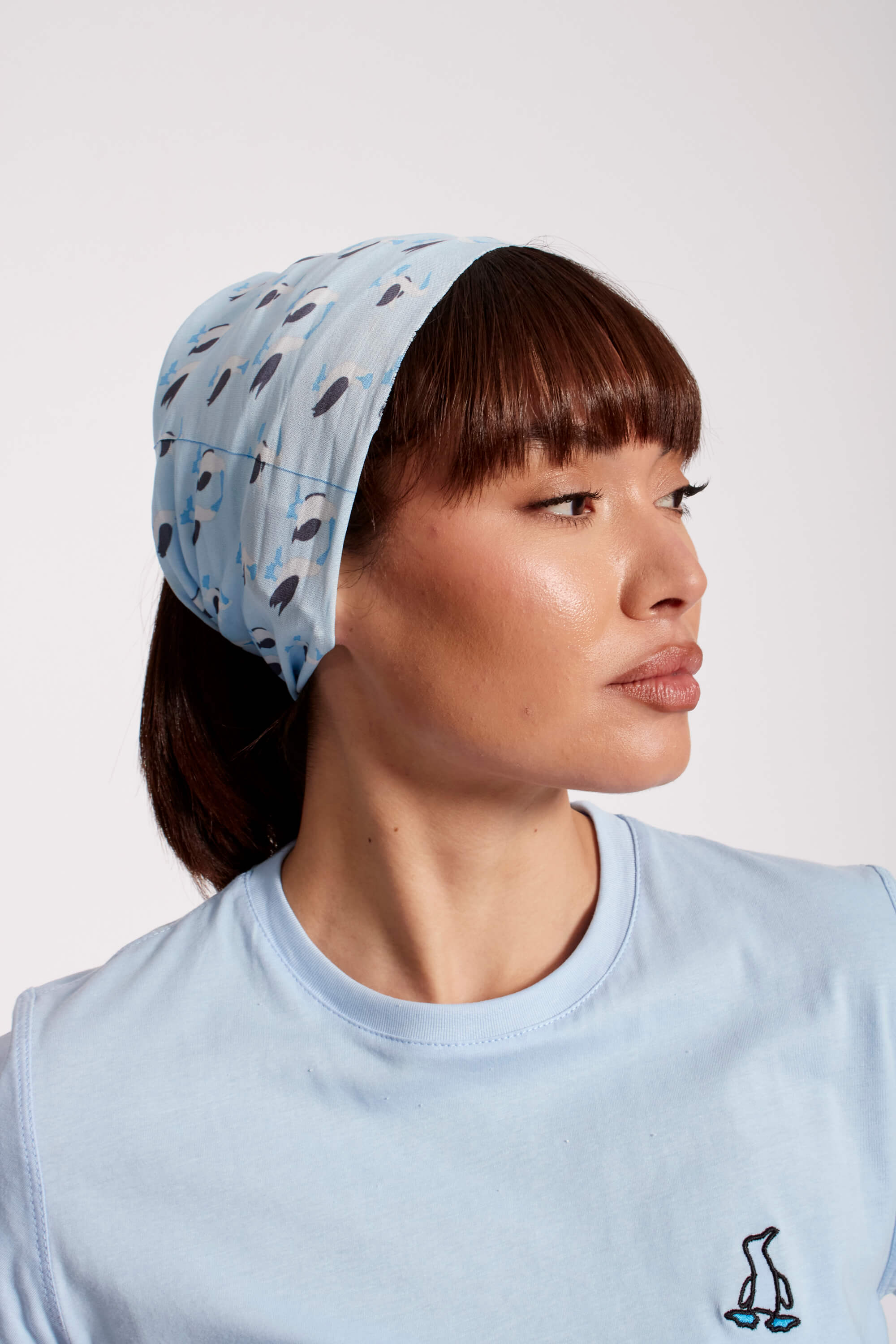 Buff Exploración Piqueros