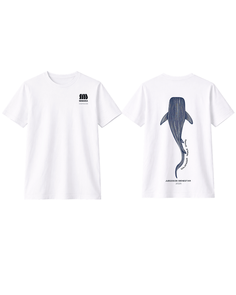 Experiencias & Grupos