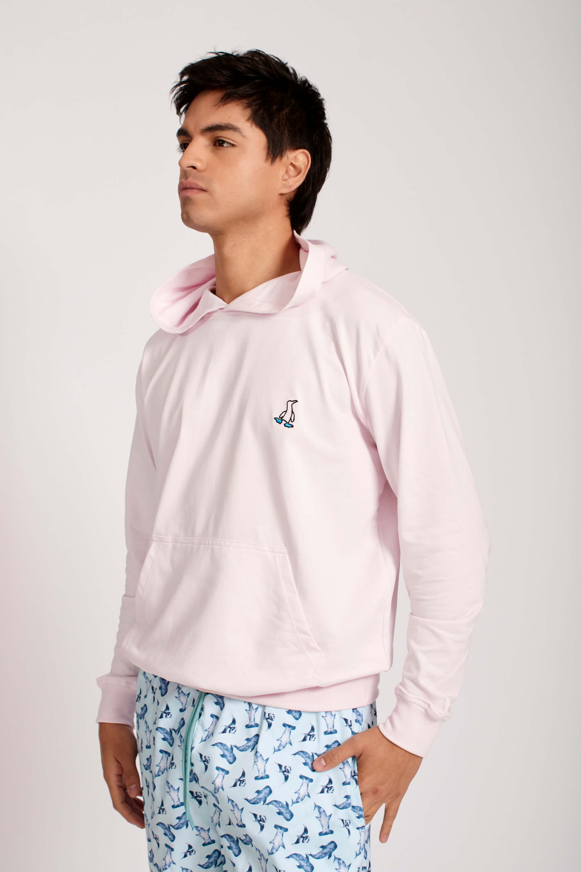 Hoodie Flamingo