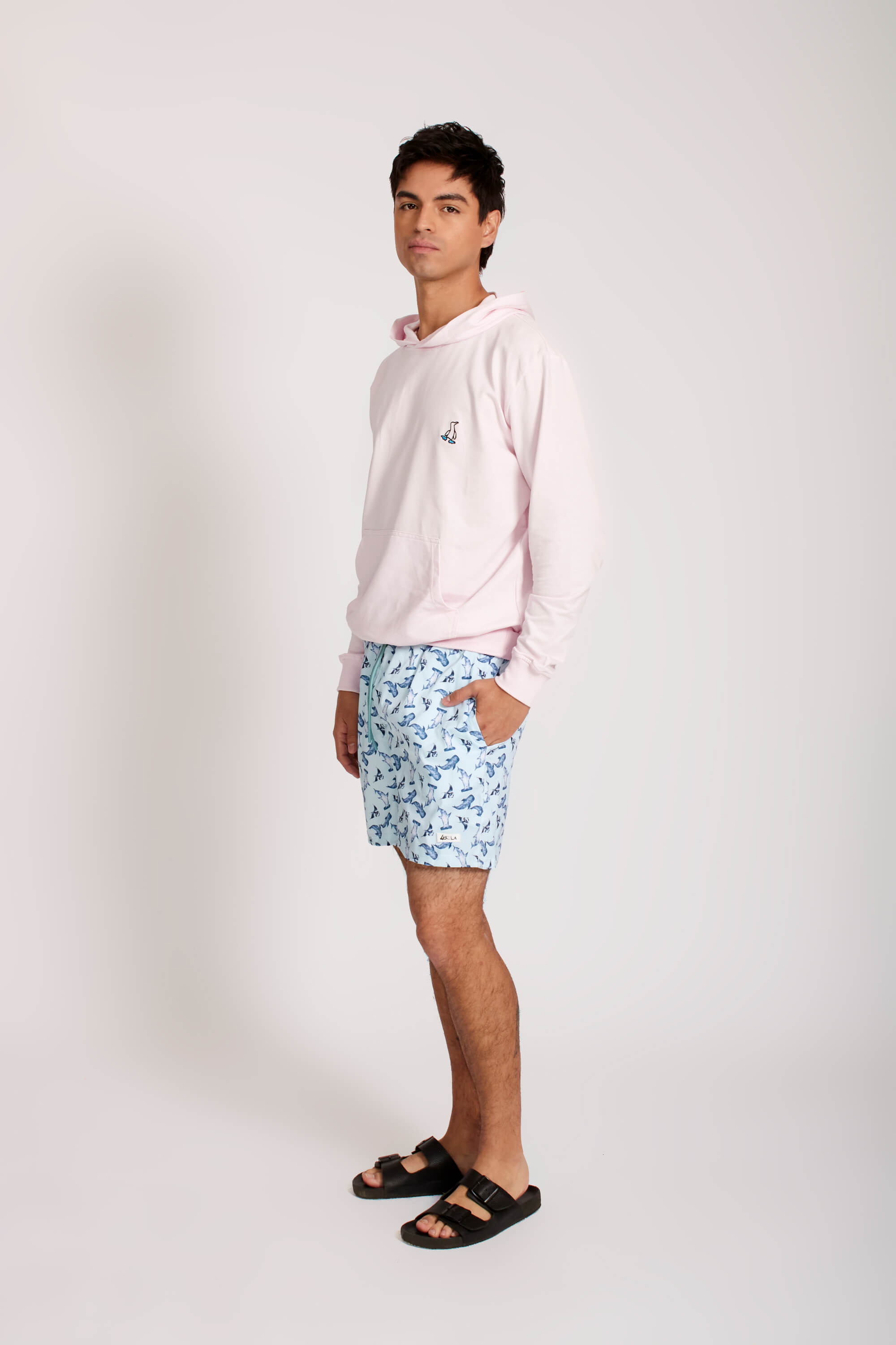 Hoodie Flamingo